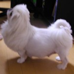 p4130160 妊娠発覚2